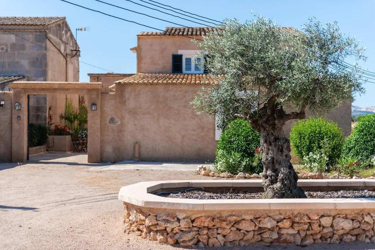 Villa Ses Barreres Campos  Chalet